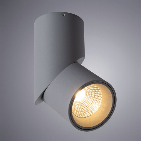 Светильник потолочный Arte Lamp Meisu A7717PL-1GY