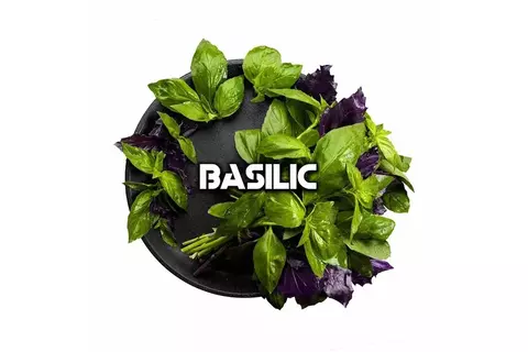 Табак Black Burn Basilic (Базилик) 25г