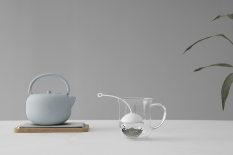 Заварник для чая Шар VIVA Scandinavia Infusion Прозрачный