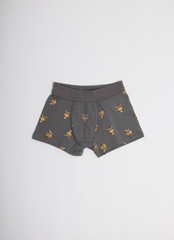 Детские мужские боксеры E25K-83B102