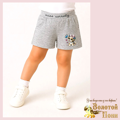 Шорты хлопок д (2-5) 260416-N568