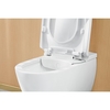 Villeroy&Boch Viclean V0E100R1 Унитаз, Villeroy&Boch, Viclean, безободковый (с открытым смывным краем), тип установки-подвесной, ширина, мм-385, глубина, мм-595, высота, мм-360, форма чаши-овальная, выпуск-горизонтальный, сиденье с функцией биде-в ко