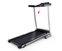 Беговая дорожка DFC Blues T-113G