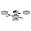 Светильник потолочный Evoluce Faema SLE6006-702-04