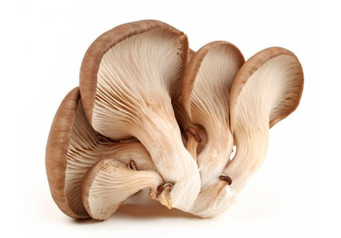 Грибы Вешенки Руслес, 300г