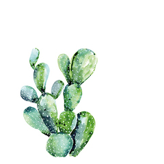 Салфетки бумажные 25х25 20шт Paperproducts Design Cactus