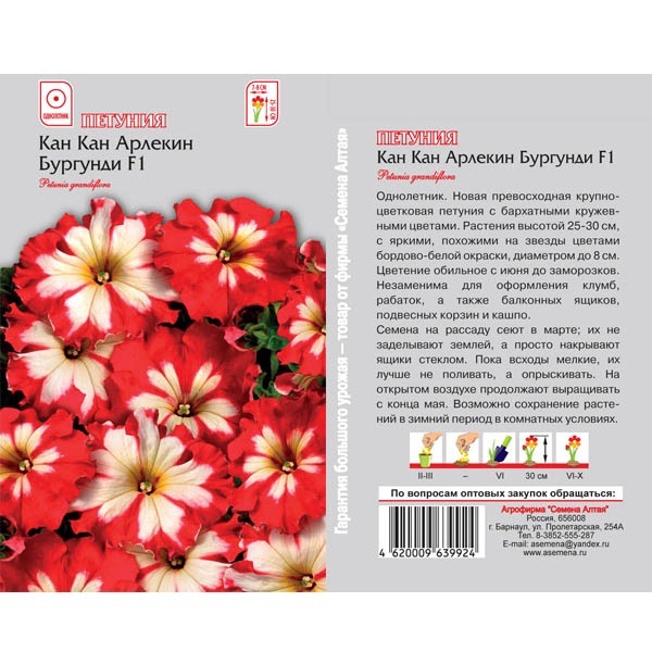 Петуния грандифлора кан кан. Петуния Кан Кан бургунди 10шт. Петуния грандифлора Кан Кан Арлекин бургунди. Петуния Арлекин бургунди 10шт Аэлита. Петуния грандифлора Кан Кан Вишневая.