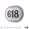 Номерок на дверь квартиры 618, для кабинета, офиса, шильдик 9 х 7 см, серебристый, Айдентика Технолоджи