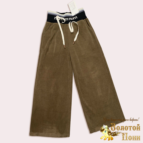 Брюки вл подрост д (146-176) 250311-W2042
