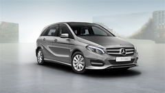 Блокиратор рулевого вала для MERCEDES BENZ B-CLASS  - Гарант Блок Люкс 726.E/f