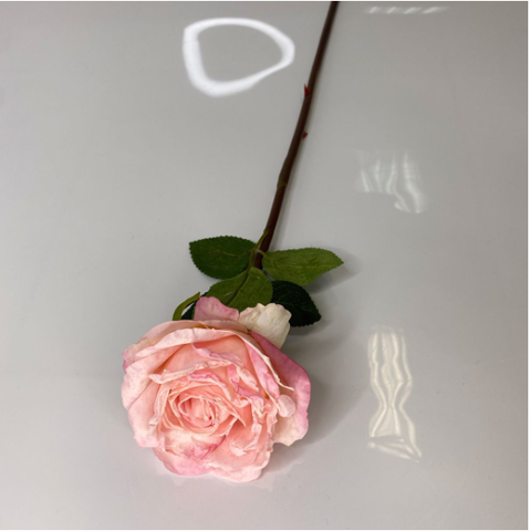 Роза одиночная Фламенко (Розовый)