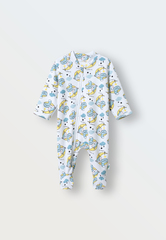 Слип на молнии (котята на луне)