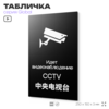 Табличка Ведется видеонаблюдение, на дверь и стену, информационная и мультиязычная (русский, английский, китайский), серия GLOBAL, 25х15 см, Айдентика Технолоджи