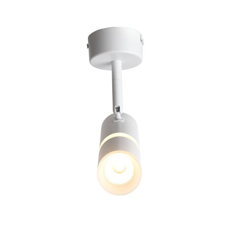 Светильник потолочный ST Luce ST106.502.08