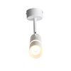 Светильник потолочный ST Luce ST106.502.08