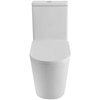 BelBagno BB673CP-MN-TOR/SC TRE-TOR Унитаз-моноблок со смывом "Торнадо", с сиденьем дюропласт soft close, P-trap, BB673CP-MN-TOR/SC
