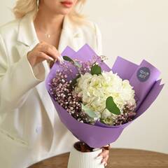 "Облако из гортензии"