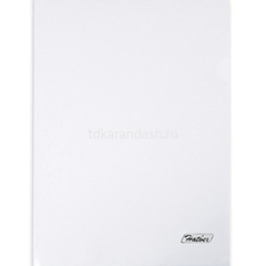 Папка-уголок А4 пластик 0,18мм прозрачная, 1 шт.