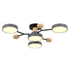 Светильник потолочный Evoluce Faema SLE6006-702-04