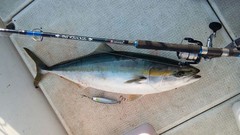 Рыболовный спиннинг Higashi Big Kahuna 2,5м (80-120г)