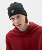 Картинка шапка Adidas Adicolor Glitter черный - 2
