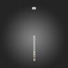 Светильник подвесной ST Luce Fizorio SL1577.503.01