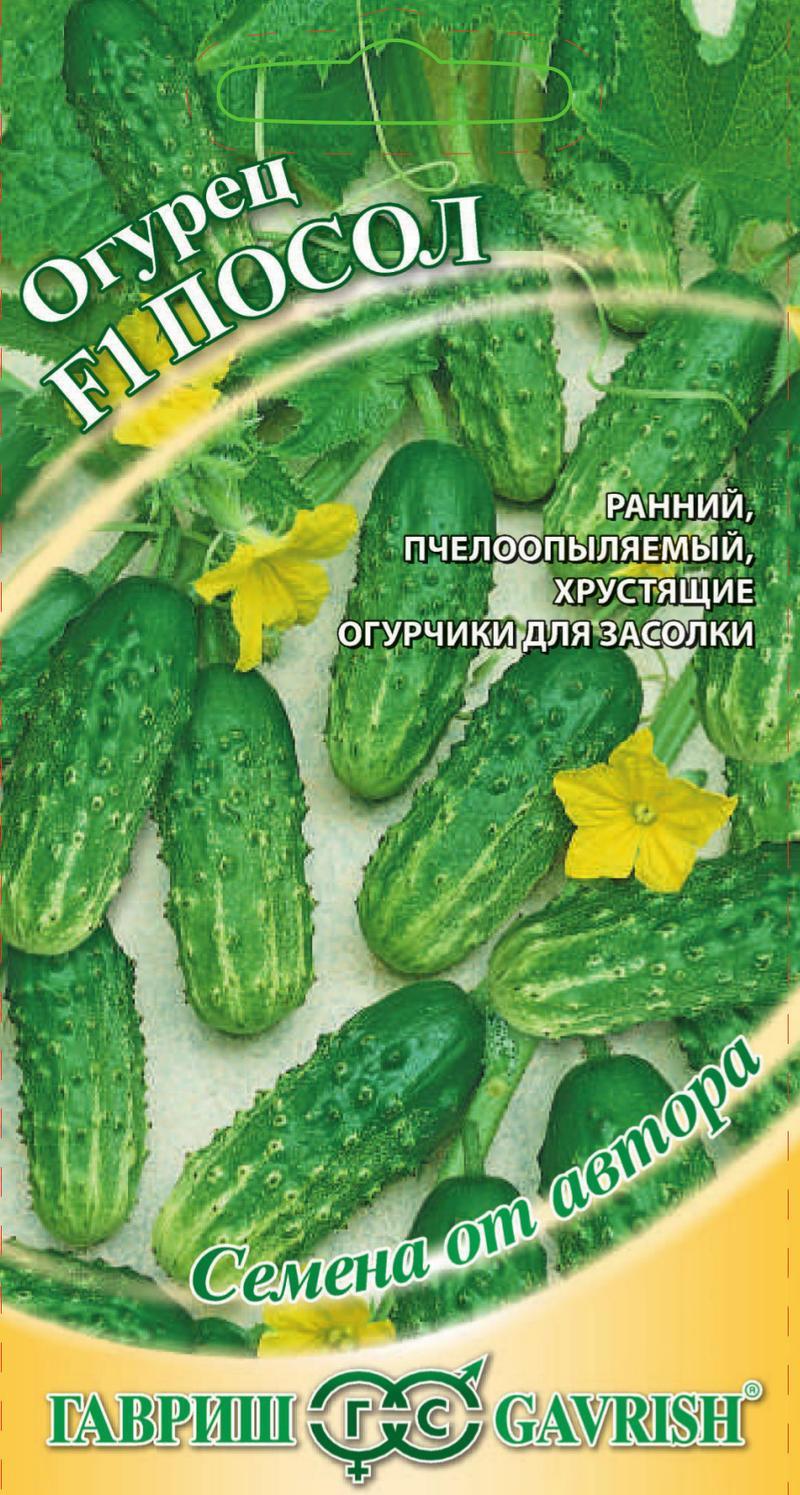 Огурец Нежинский Купить Семена
