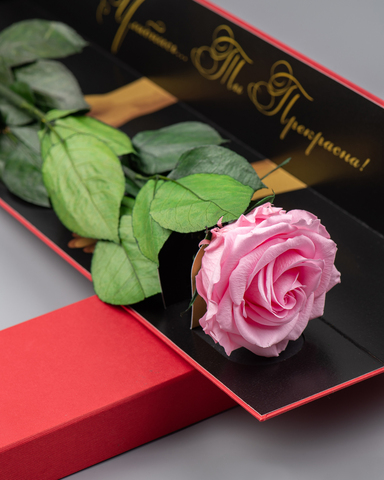 Роза Премиум в подарочной коробке(красная) комплимент .Бутон розовый.