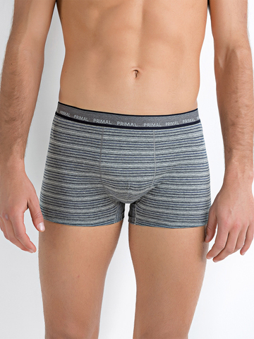 Мужские трусы B222 Boxer Primal