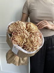 Моно из одноголовой хризантемы КУПЕР