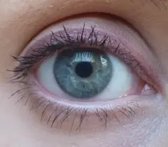 El Corazon карандаш для глаз 109 Pecan