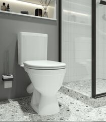 Унитаз-компакт 