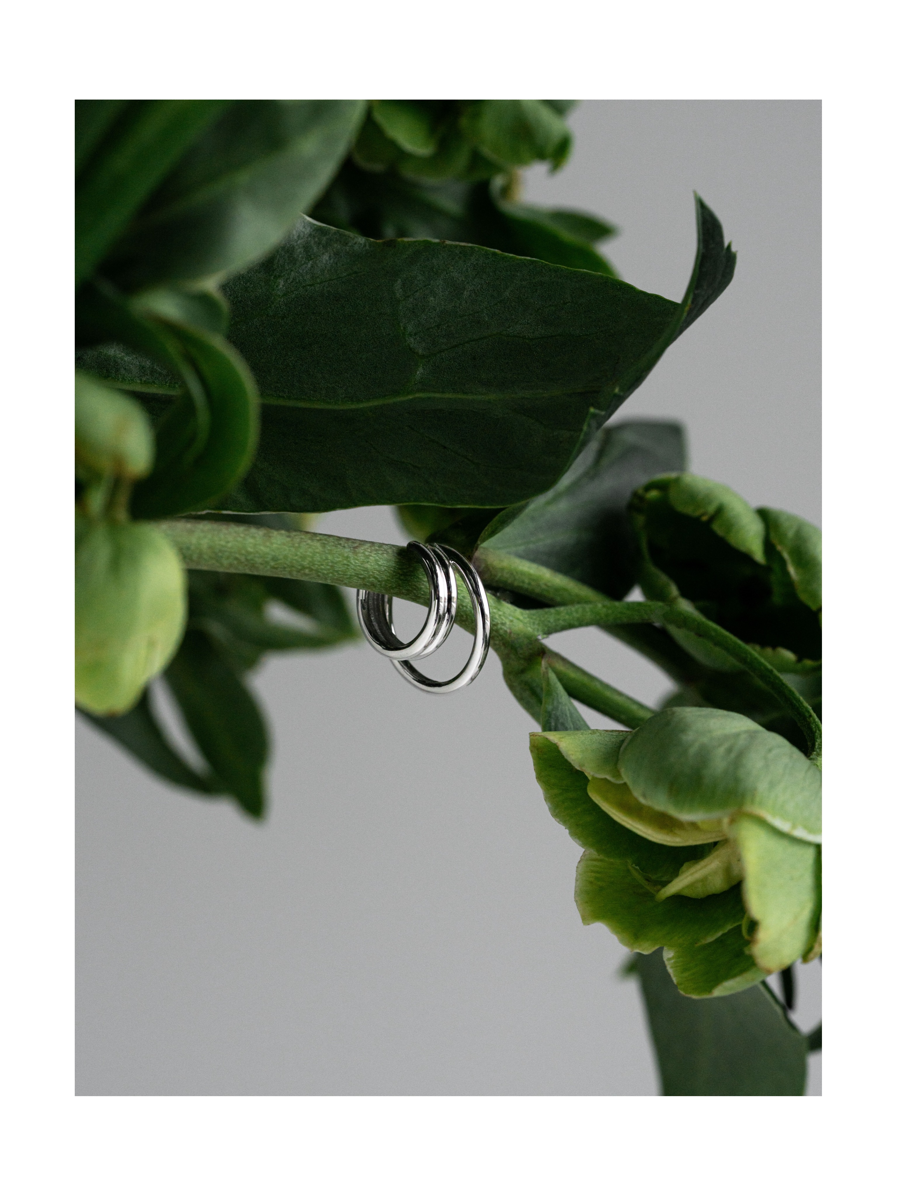 Кафф Лента дуо