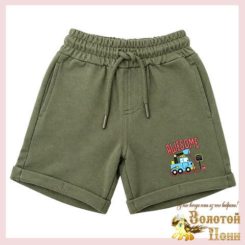 Шорты хлопок м (1-4) 260427-G9117