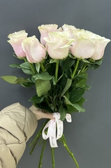 11 роз сорта Пинк Мондиаль