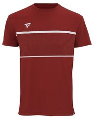 Теннисная футболка Tecnifibre Team Tech Tee - cardinal