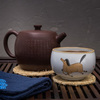 Исинский чайник И Тун Цзинь 270 мл #P 20