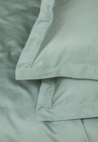 Наволочка 50х70 Luxberry Daily Bedding полынь