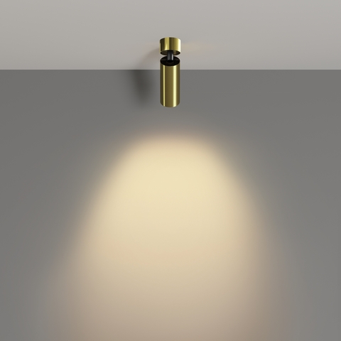Потолочный светильник Maytoni Focus led C055CL-L12W2.7K-W-BS