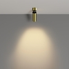 Потолочный светильник Maytoni Focus led C055CL-L12W2.7K-W-BS