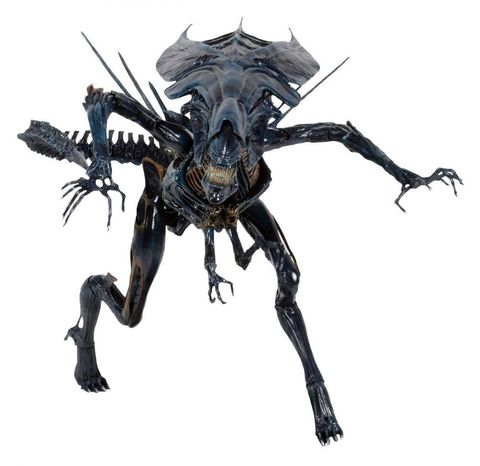 Alien Queen Aliens Xenomorph