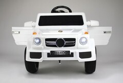 Mercedes O004OO VIP с дистанционным управлением.