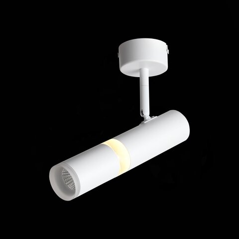 Светильник потолочный ST Luce ST106.502.08