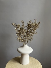 Рускус золотой