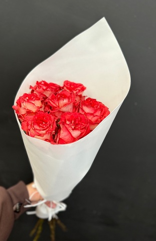 Роза красная Игуазу