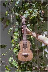 Укулеле концерт FLIGHT DUC430 DAO