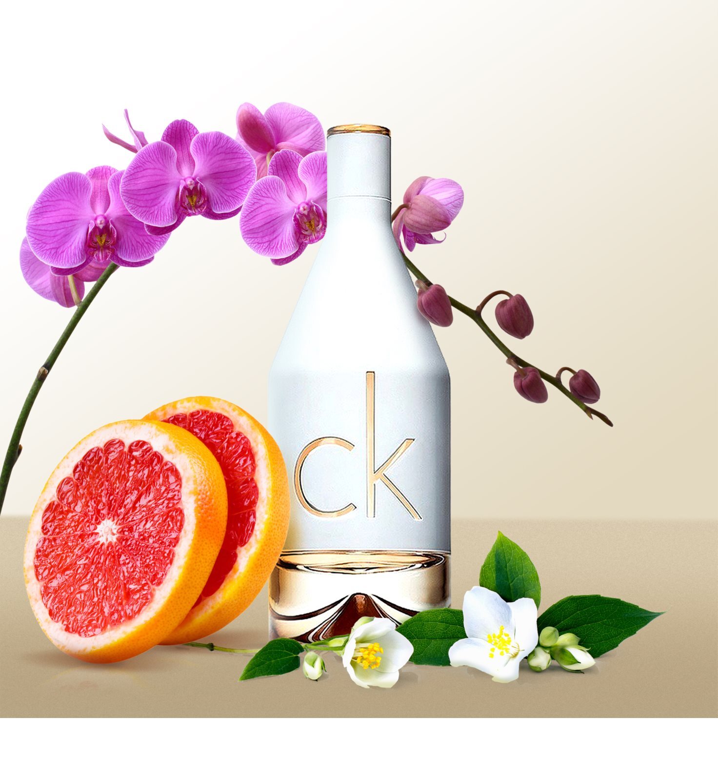 Calvin Klein CK IN2U