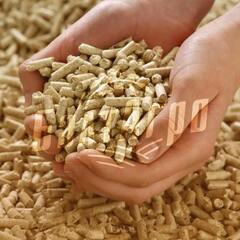 Наполнитель для кошачьего туалета древесный пеллеты 5 кг