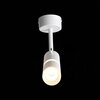 Светильник потолочный ST Luce ST106.502.08