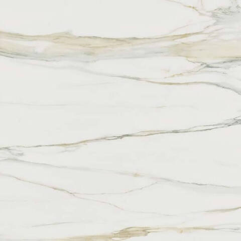 Rex Ceramiche I Classici Calacatta Gold Matte 120x120